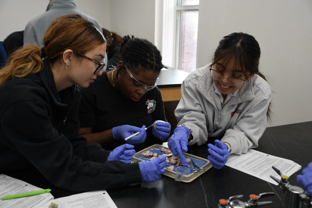 Students at the Cristo Rey NY High School working in the Brain Lab