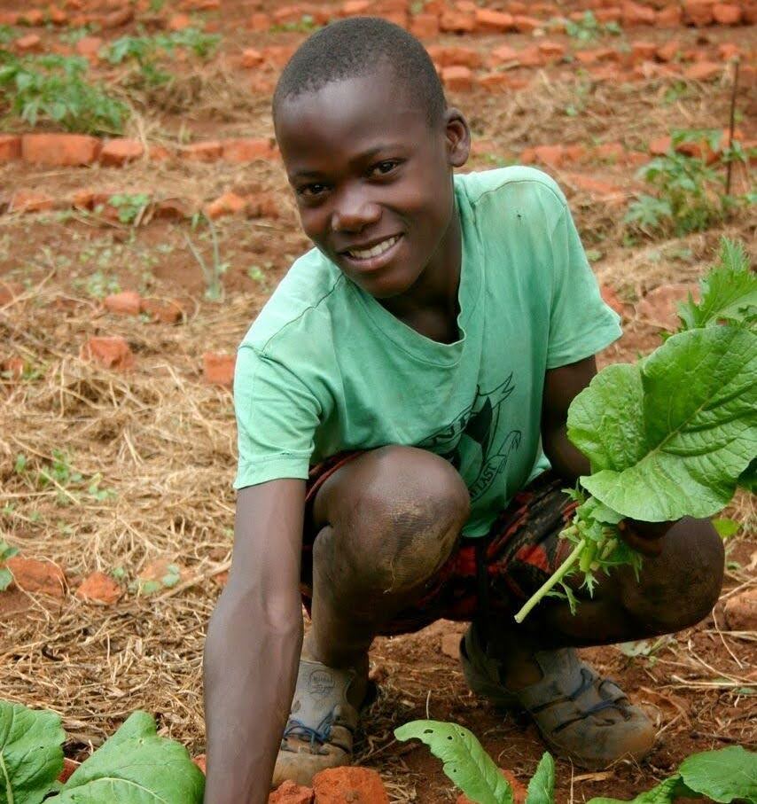 Development in Gardening person working in field