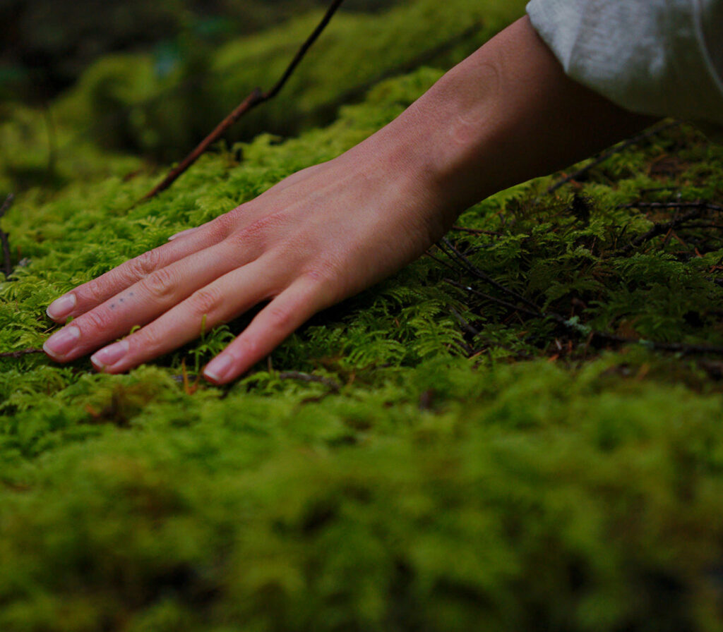 Current Grantees 8 A human hand touching moss
