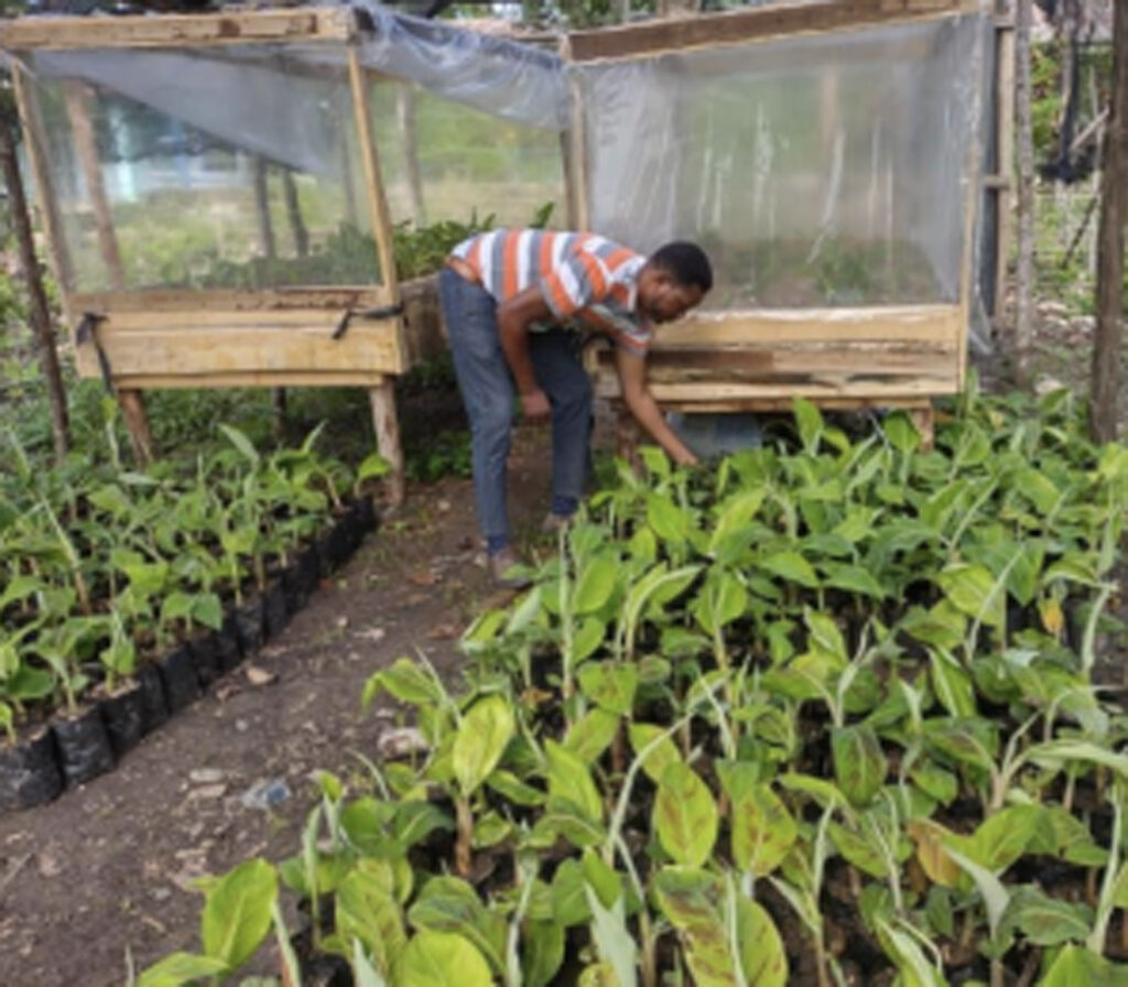 Current Grantees 18 Man working in garden